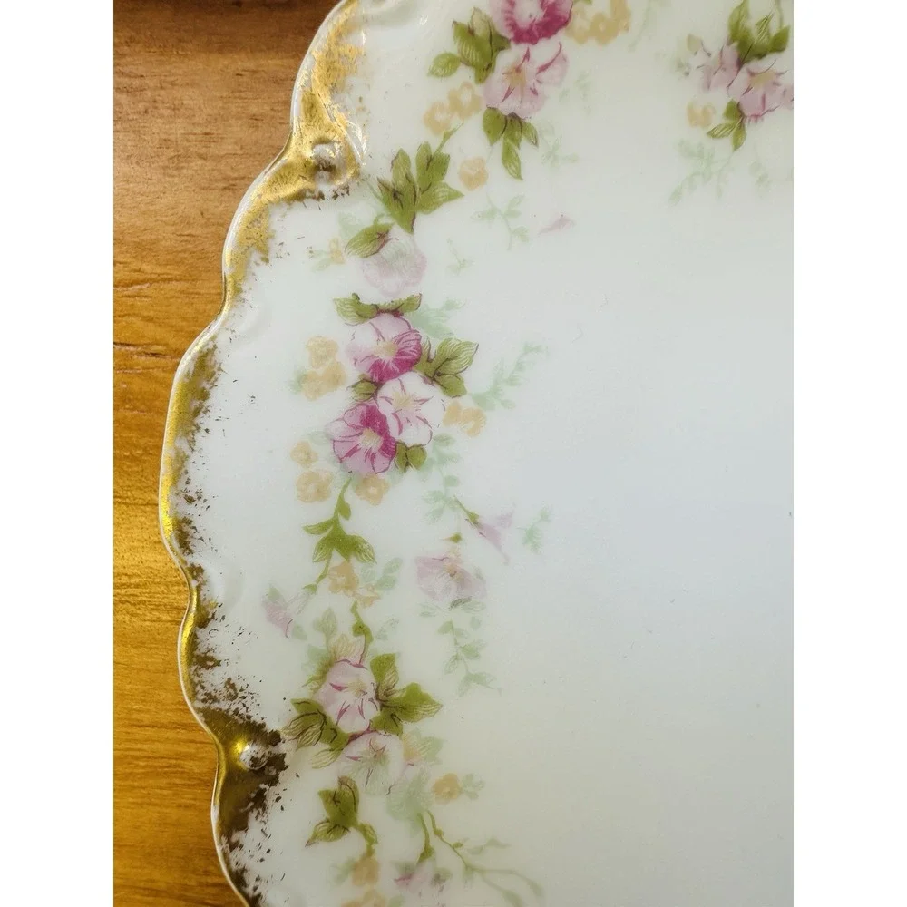 Theodore‎ Haviland Limoges Two Salad Plates Schleiger 855B France Vintage